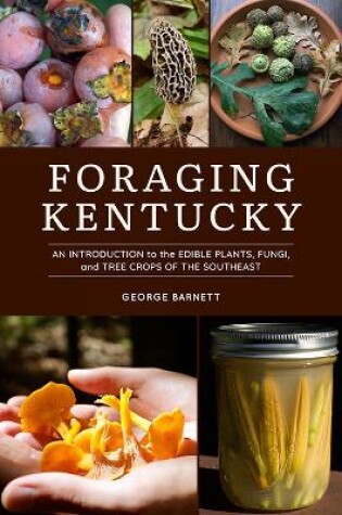 Cover of Foraging Kentucky