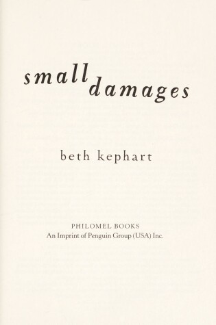 Cover of Small Damages