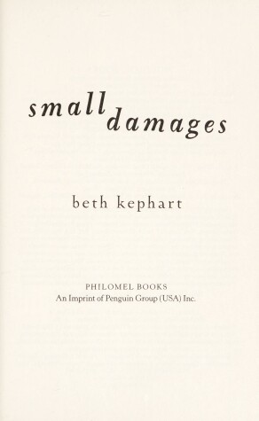 Book cover for Small Damages