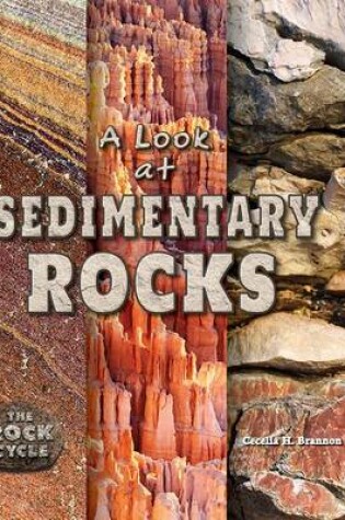 Cover of A Look at Sedimentary Rocks
