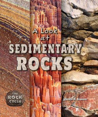 Book cover for A Look at Sedimentary Rocks