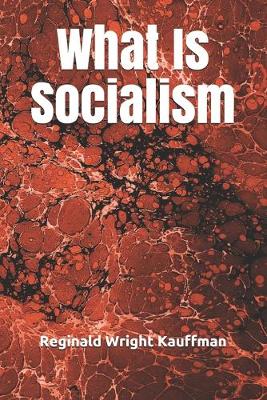 Book cover for What Is Socialism