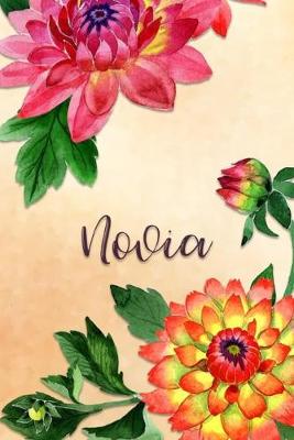 Book cover for Novia