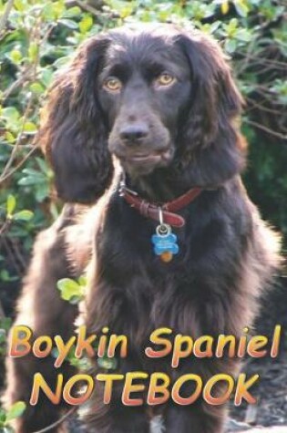 Cover of Boykin Spaniel NOTEBOOK