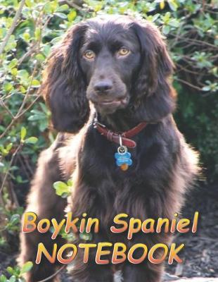 Book cover for Boykin Spaniel NOTEBOOK