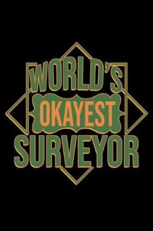 Cover of World's okayest surveyor