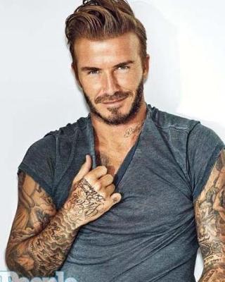 Book cover for David Beckham Diary