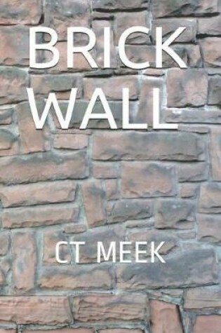 Cover of Brick Wall