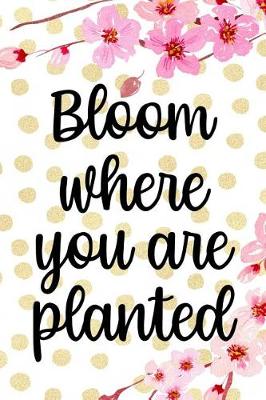 Book cover for Bloom Where You Are Planted