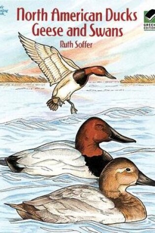 Cover of North American Ducks, Geese and Swans