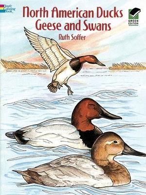 Cover of North American Ducks, Geese and Swans