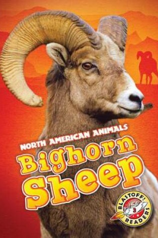 Cover of Bighorn Sheep