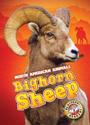 Book cover for Bighorn Sheep