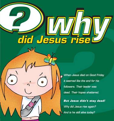 Book cover for Why Did Jesus Rise?