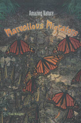 Cover of Amazing Nature: Marvellous Migrators