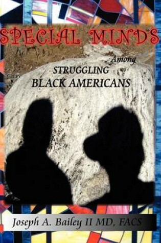 Cover of Special Minds Among Struggling Black Americans