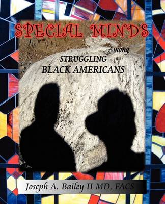 Book cover for Special Minds Among Struggling Black Americans