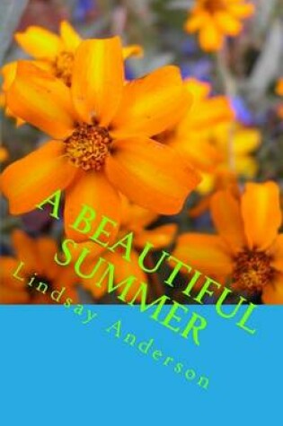 Cover of A Beautiful Summer