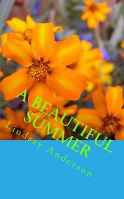 Book cover for A Beautiful Summer