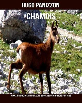 Book cover for Chamois