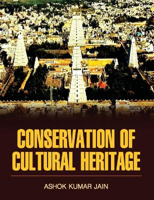 Book cover for Conservation of Cultural Heritage