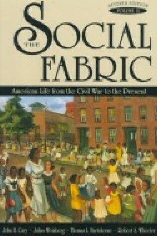 Cover of The Social Fabric: American Life from the War to the Present