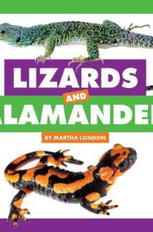 Cover of Lizards and Salamanders