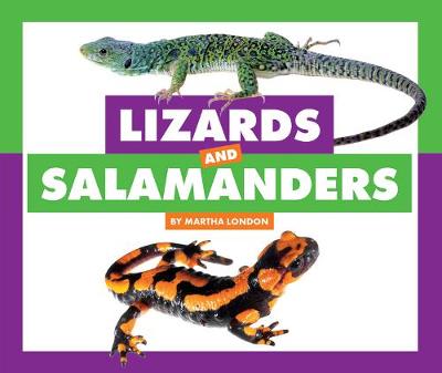 Cover of Lizards and Salamanders