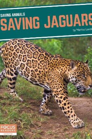 Cover of Saving Animals: Saving Jaguars