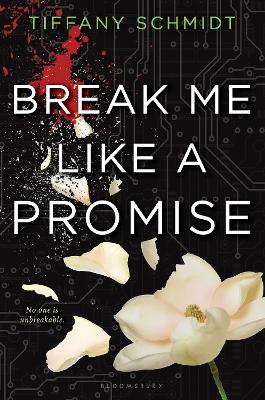 Book cover for Break Me Like a Promise