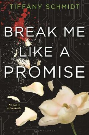 Cover of Break Me Like a Promise