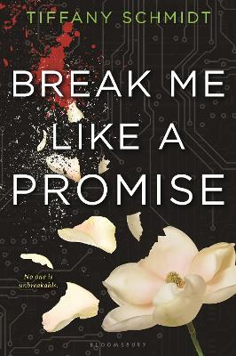 Book cover for Break Me Like a Promise