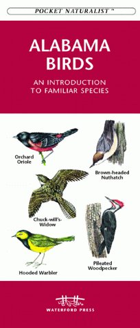 Book cover for Alabama Birds