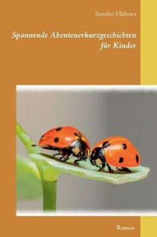 Cover of Spannende Abenteuerkurzgeschichten für Kinder