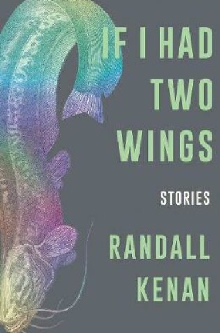 Cover of If I Had Two Wings