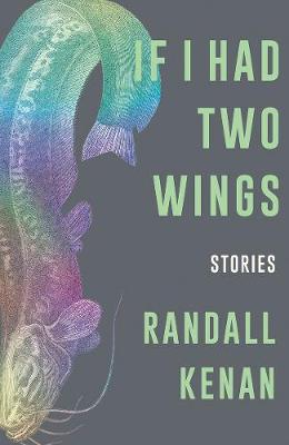 Book cover for If I Had Two Wings