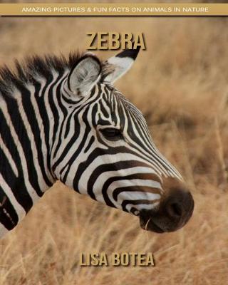 Book cover for Zebra