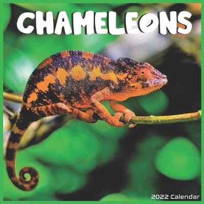 Book cover for Chameleons 2022 Calendar