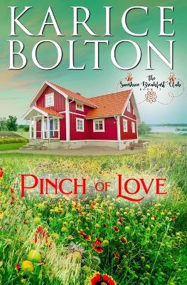 Book cover for Pinch of Love