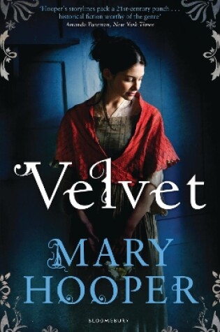 Cover of Velvet