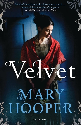 Book cover for Velvet