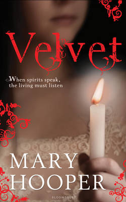 Book cover for Velvet