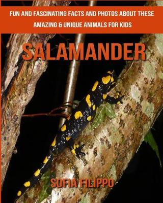 Book cover for Salamander