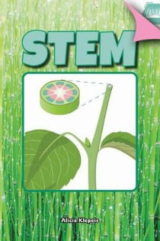 Cover of Stem