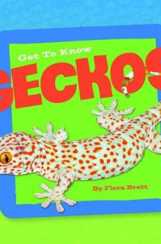 Cover of Geckos