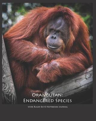 Book cover for Orangutan