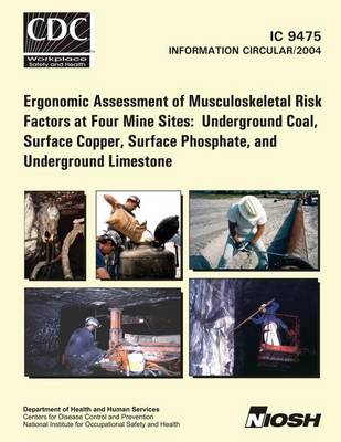 Book cover for Ergonomic Assessment of Musculoskeletal Risk Factors at Four Mine Sites