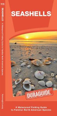 Book cover for Seashells