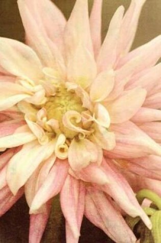 Cover of Pale Pink Dahlia - Lined Notebook with Margins