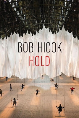 Book cover for Hold